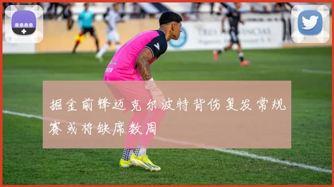 掘金前锋迈克尔波特背伤复发常规赛或将缺席数周