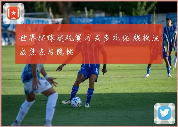 世界杯球迷观赛方式多元化 线投注成焦点与隐忧