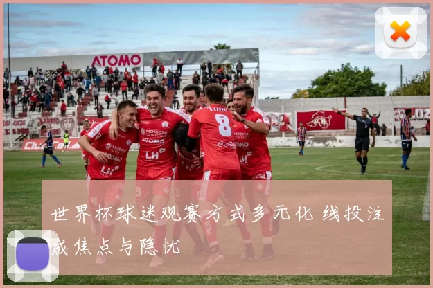 世界杯球迷观赛方式多元化 线投注成焦点与隐忧