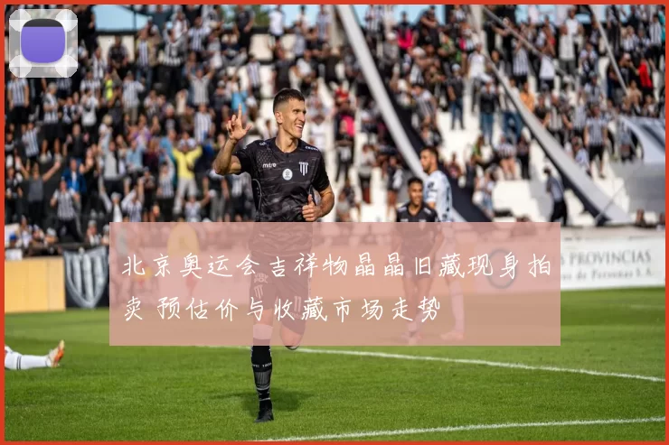 北京奥运会吉祥物晶晶旧藏现身拍卖 预估价与收藏市场走势