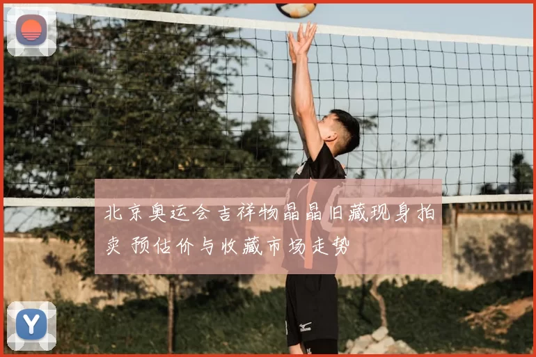 北京奥运会吉祥物晶晶旧藏现身拍卖 预估价与收藏市场走势