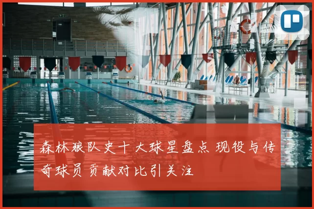 森林狼队史十大球星盘点 现役与传奇球员贡献对比引关注