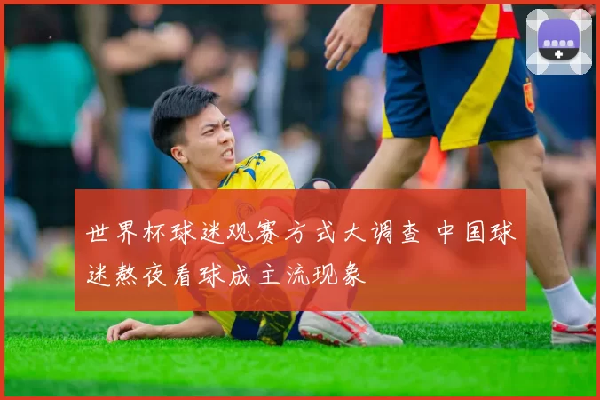 世界杯球迷观赛方式大调查 中国球迷熬夜看球成主流现象