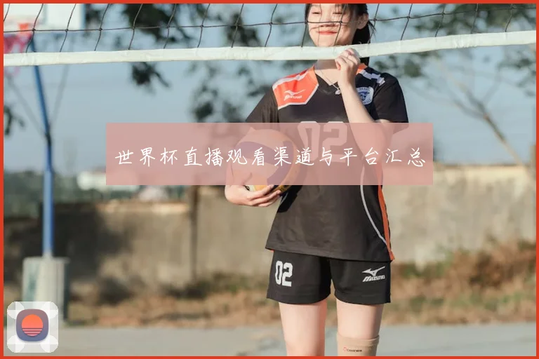 世界杯直播观看渠道与平台汇总