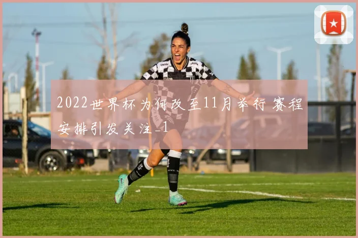 2022世界杯为何改至11月举行 赛程安排引发关注_1
