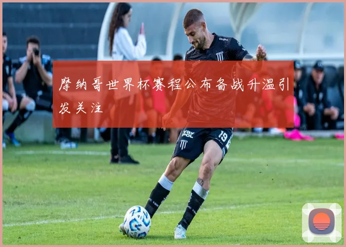 摩纳哥世界杯赛程公布备战升温引发关注
