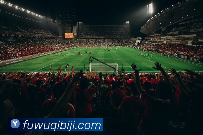 星空体育官方网发展历程